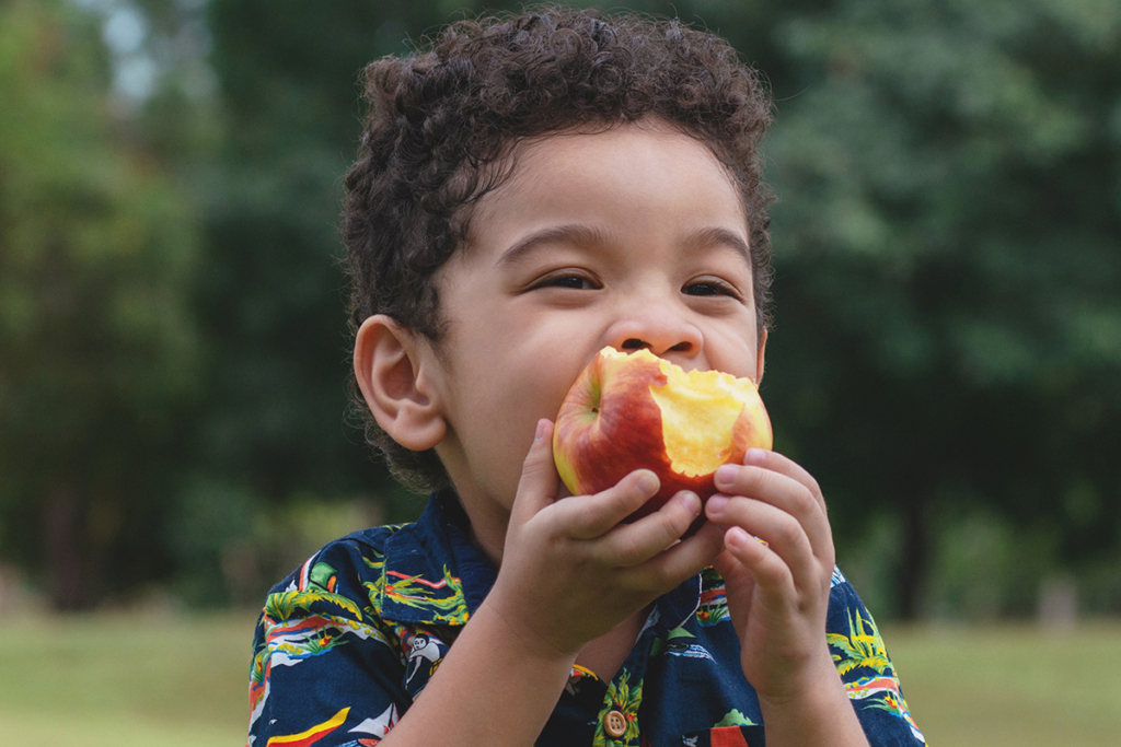 State-Approved Meals & Snacks At No Extra Cost